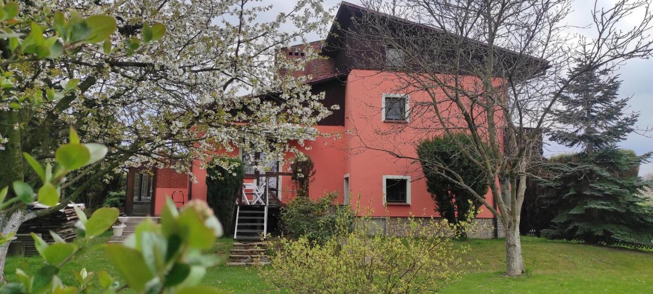 Za Gorami, Za Lasami Mysłakowice Extérieur photo
